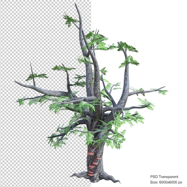 Rendering 3d isolato albero fantastico