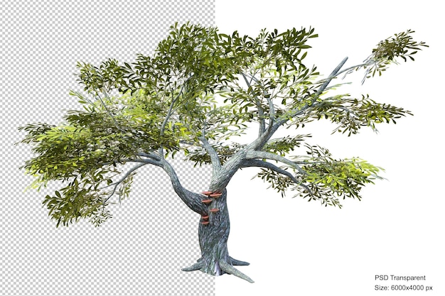 PSD fantastic tree isolated 3d render
