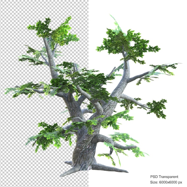 Fantastic tree isolated 3d render