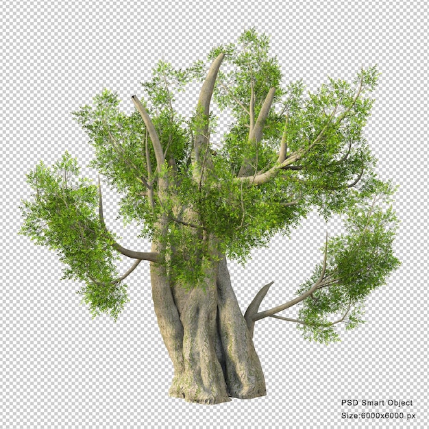 Fantastic tree isolated 3d render