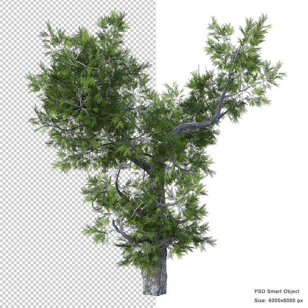 Fantastic tree isolated 3d render