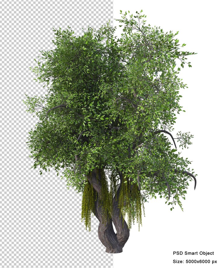 PSD fantastic tree isolated 3d render