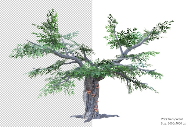 Fantastische boom geïsoleerde 3d render