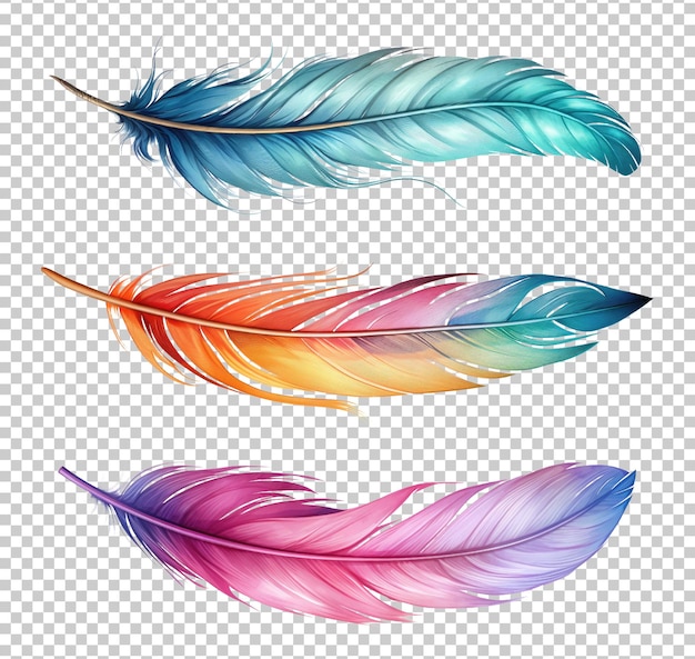 PSD fantasy feather set isolated on transparent background