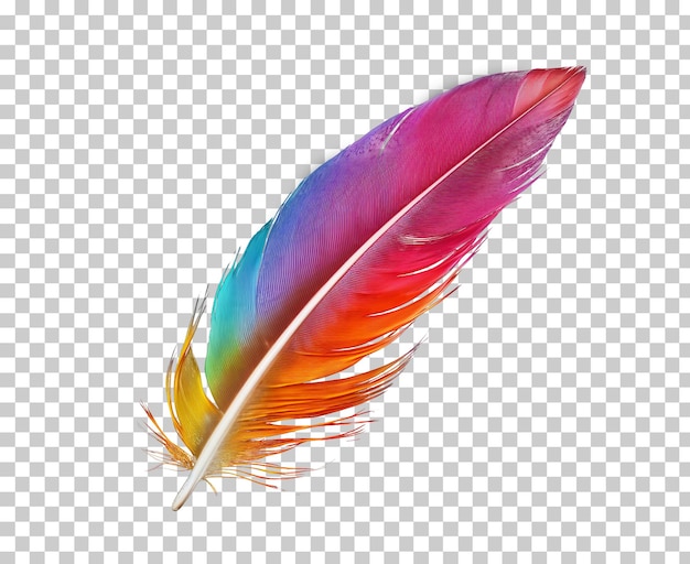 Fargerik fjær isolert på gjennomsiktig bakgrunn png psd