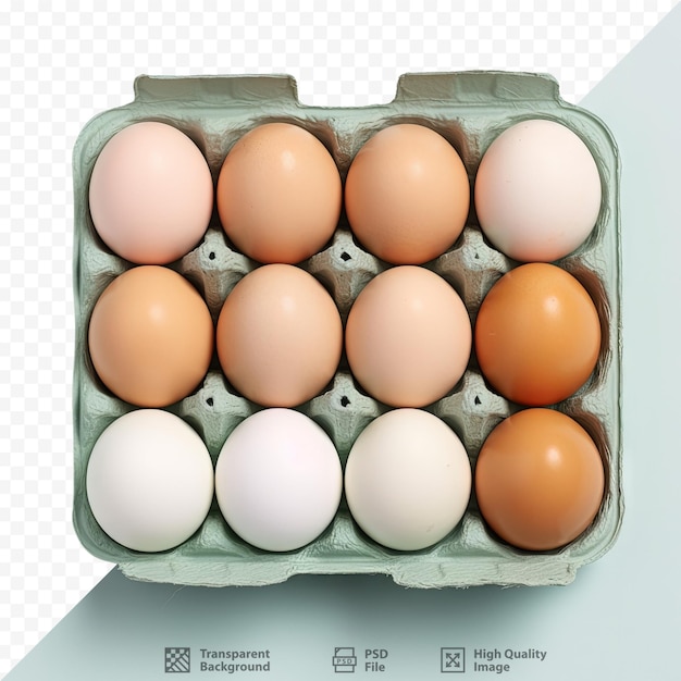 PSD farm fresh chicken eggs available for purchase at the market in paper trays