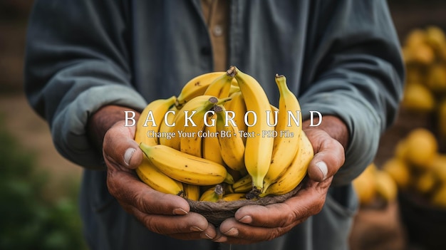 PSD farmer holding banana fruit