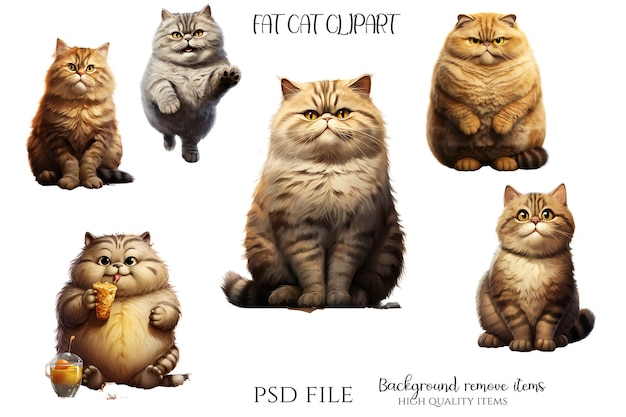 PSD fat cats illustrations