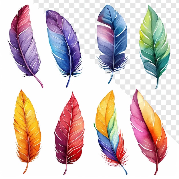 Feather clipart set in 3d watercolor style isolated on transparent background