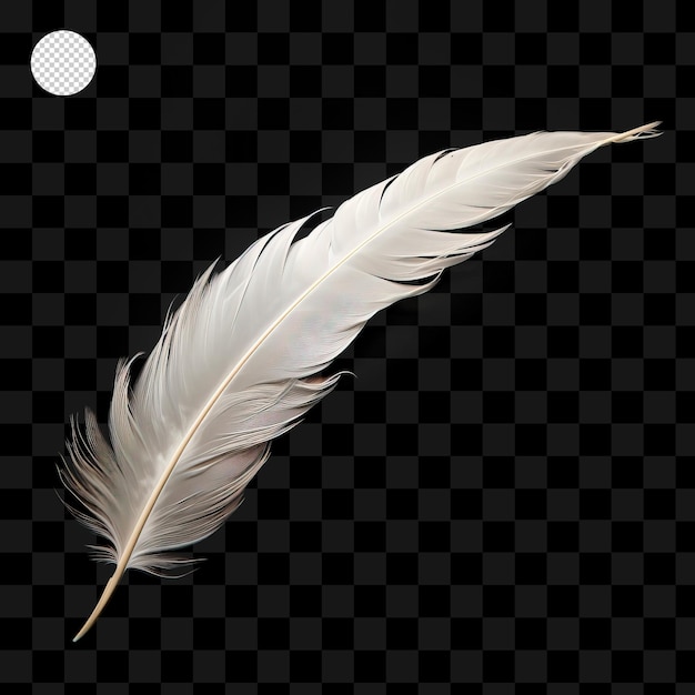 Feather isolated on transparent background png psd