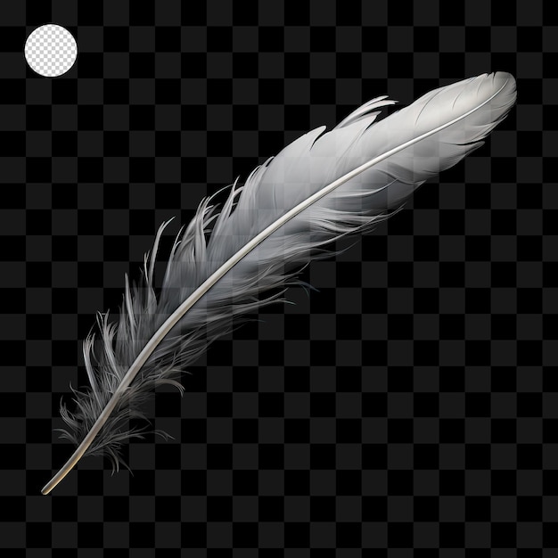 PSD feather isolated on transparent background png psd