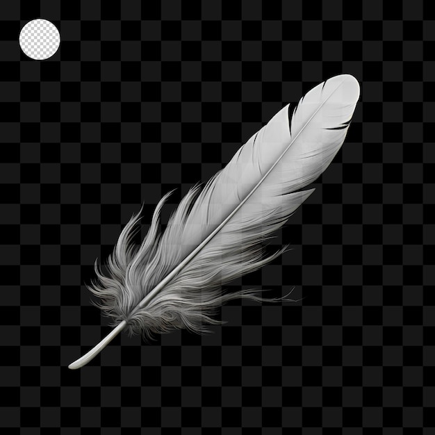 Feather isolated on transparent background png psd