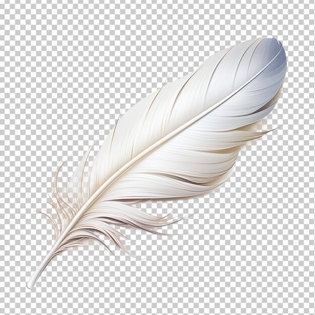 Feather png