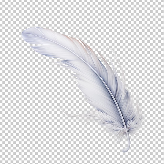 Feather png