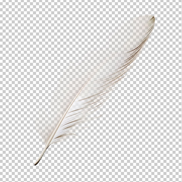 PSD feather png