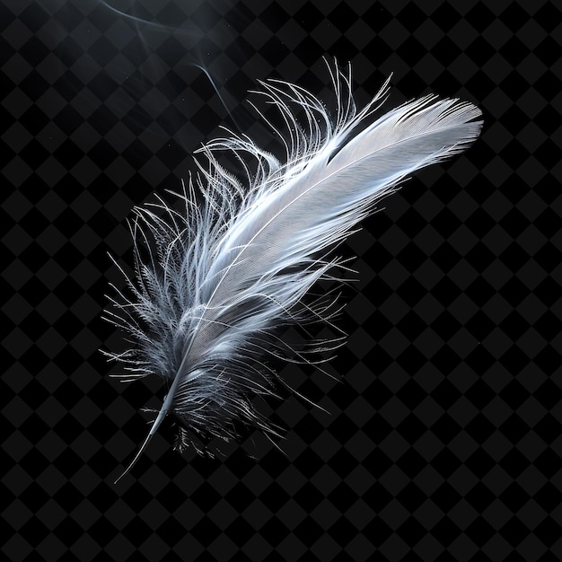 PSD a feather that has the word feather on it