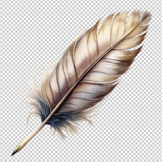 PSD feather on transparent background