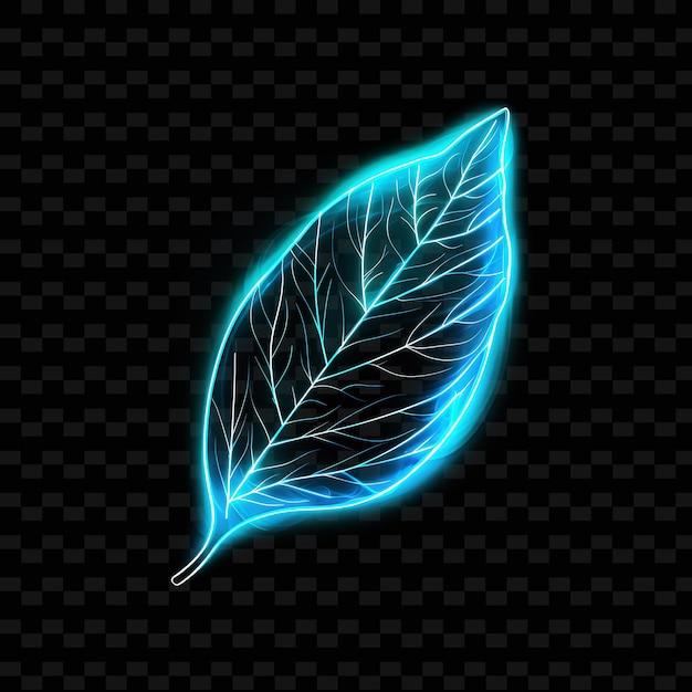 PSD a feather with a blue background and a black background with a space for text