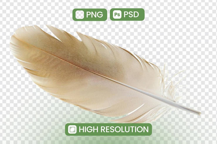 PSD a feather with a sticker that says  p p p