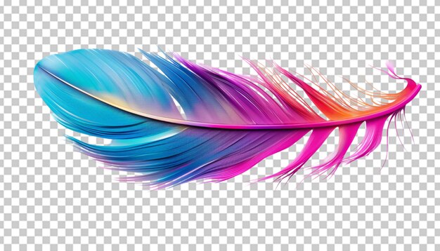 PSD feathers adorn a fashionable isolated on transparent background