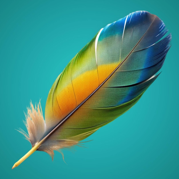 PSD feathers adorn a fashionable isolated on transparent background