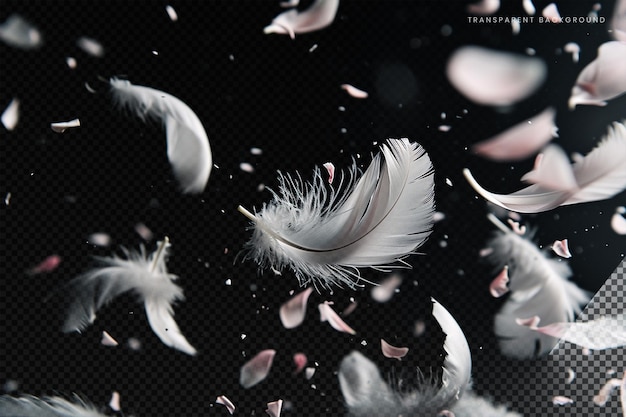 Feathers explosion effect