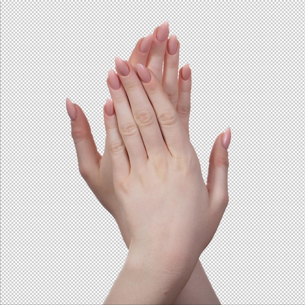 Female hands position for manicure isolated psd