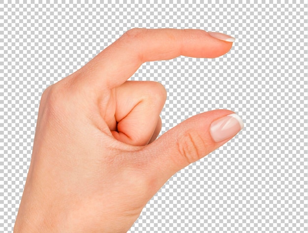 Female two hand holding something with two fingers Isolated on transparent psd background