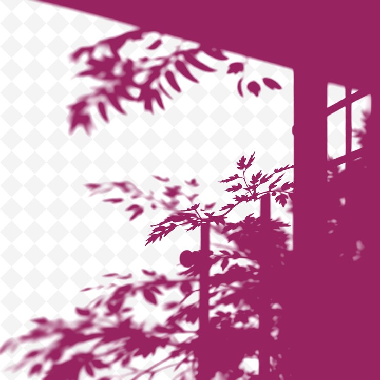 PSD fennel fronds and iron grill shadows casting fine lacy patterns the shadows are delicate