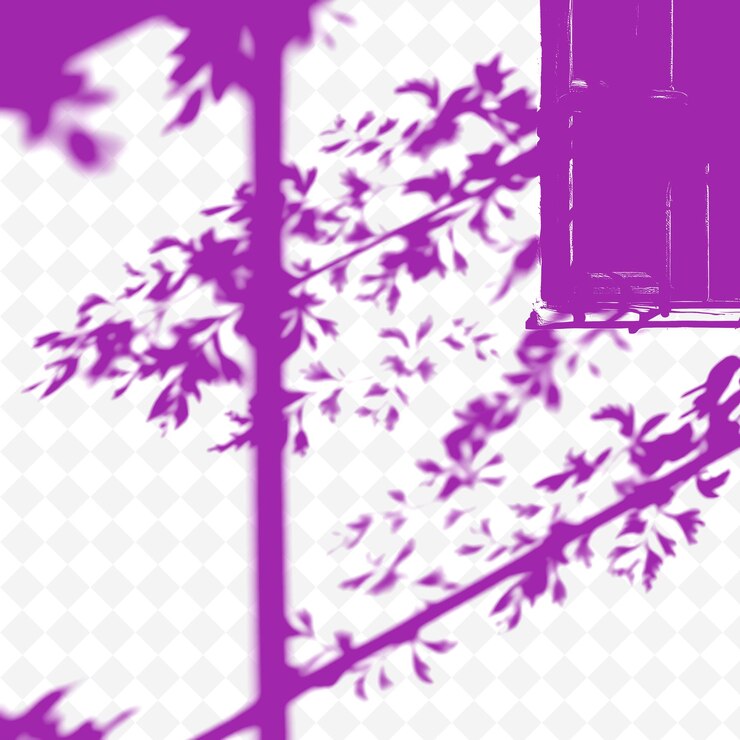 PSD fennel fronds and iron grill shadows casting fine lacy patterns the shadows are delicate