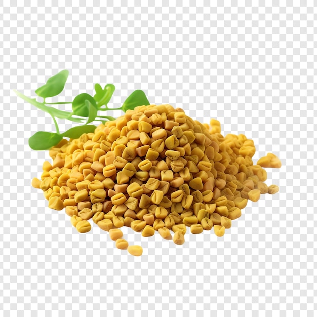 Fenugreek seeds isolated on transparent background