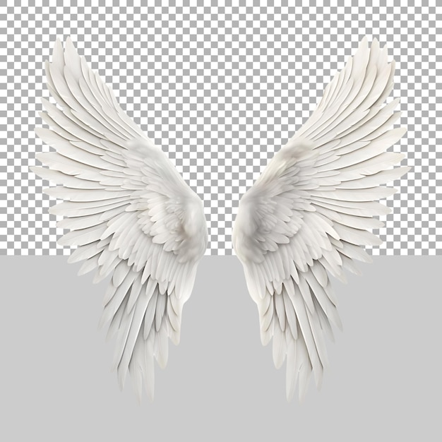 PSD Белые крылья парома на прозрачном фоне