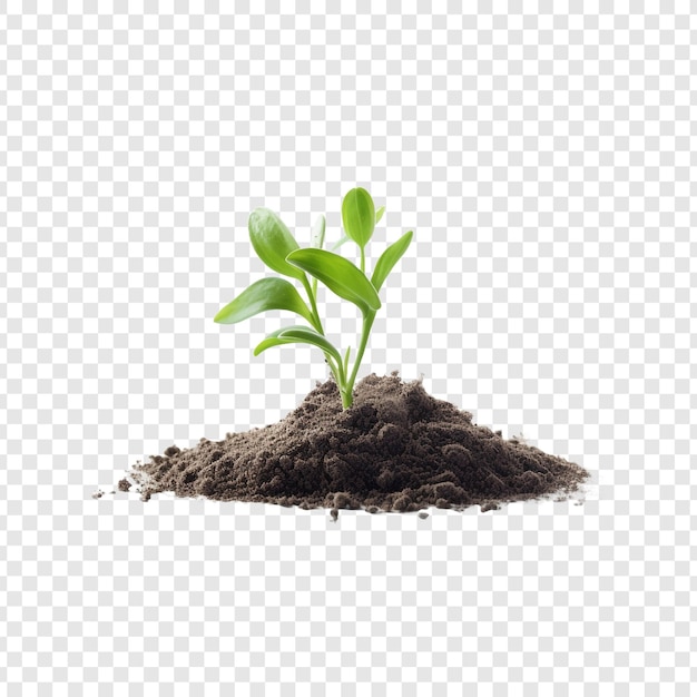 PSD fertilizer isolated on transparent background