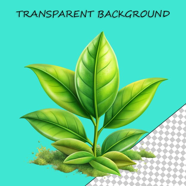 PSD fertilizer isolated on transparent background