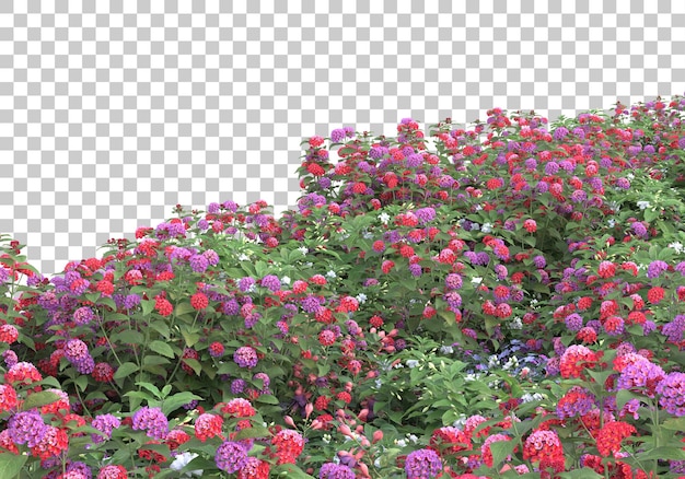 PSD field of flowers on transparent background 3d rendering illustration