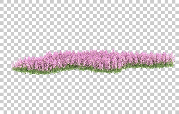 Field of flowers on transparent background. 3d rendering - illustration