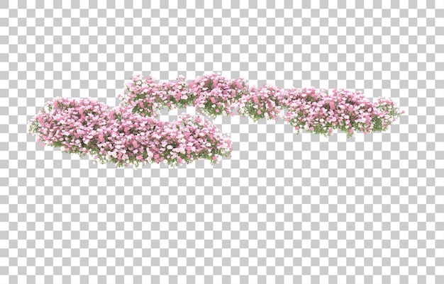 Field of flowers on transparent background. 3d rendering - illustration