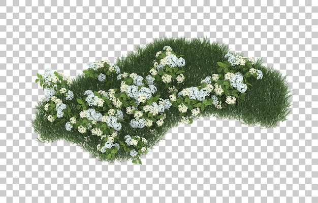 Field of flowers on transparent background. 3d rendering - illustration