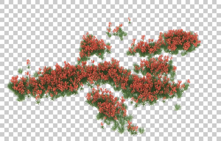 PSD field of flowers on transparent background. 3d rendering - illustration
