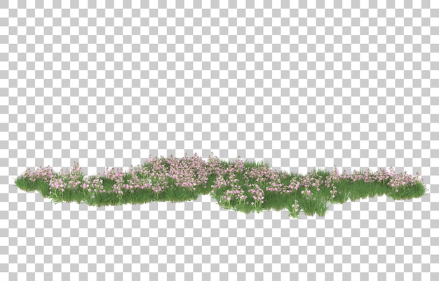 PSD field of flowers on transparent background. 3d rendering - illustration