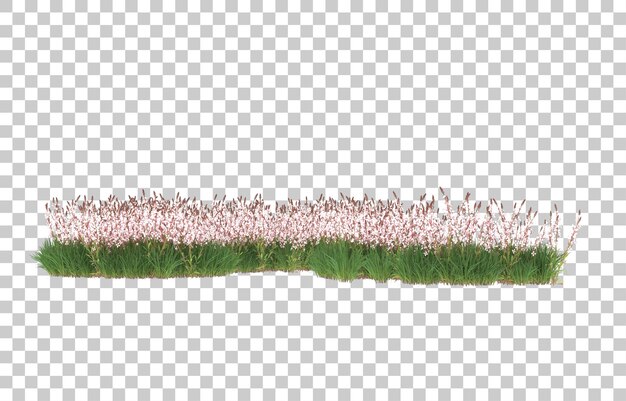 PSD field of flowers on transparent background. 3d rendering - illustration