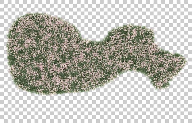 Campo di fiori su sfondo trasparente. rendering 3d - illustrazione