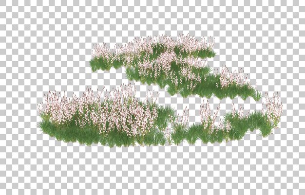 Field of flowers on transparent background. 3d rendering - illustration