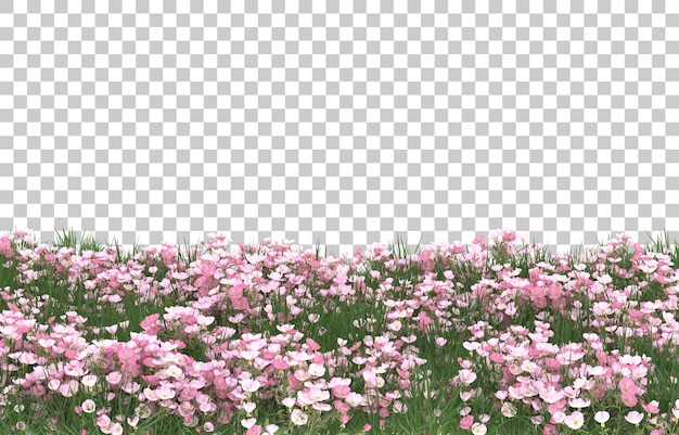 Field of flowers on transparent background. 3d rendering - illustration