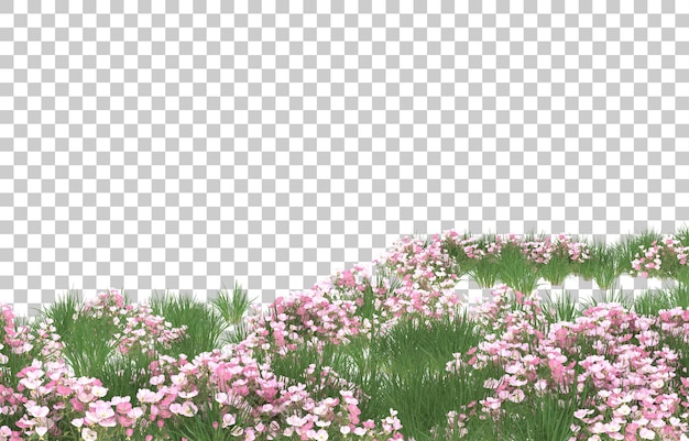PSD field of flowers on transparent background. 3d rendering - illustration