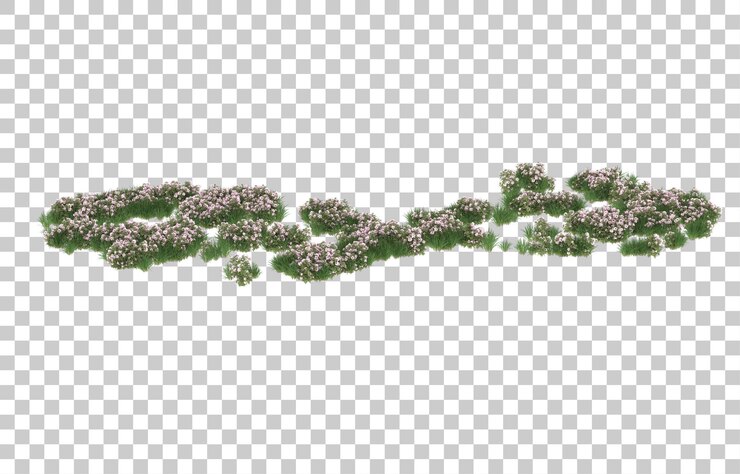PSD field of flowers on transparent background. 3d rendering - illustration