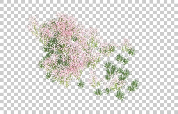 PSD field of flowers on transparent background. 3d rendering - illustration