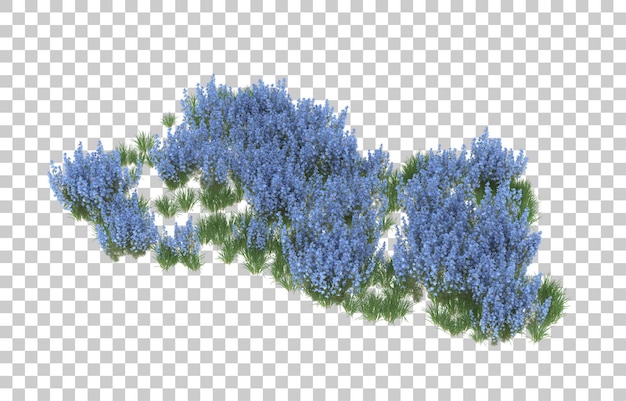 PSD field of flowers on transparent background. 3d rendering - illustration