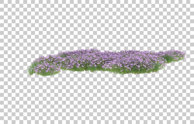 Field of flowers on transparent background. 3d rendering - illustration