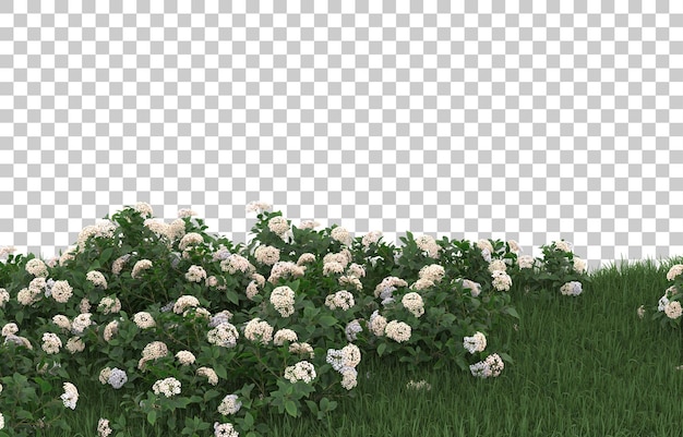 Field of flowers on transparent background. 3d rendering - illustration